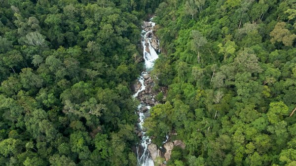 L'Impact Envoûtant de la Psychologie sur l'Art de la Magie