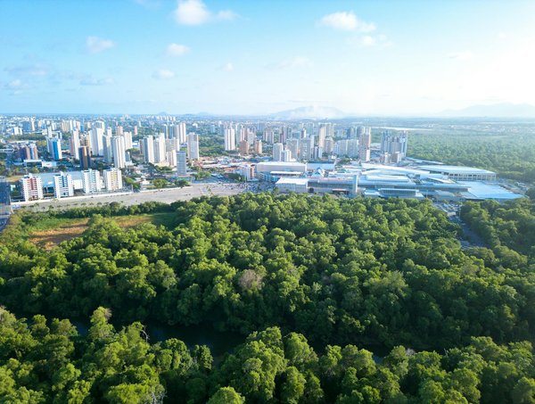 Fuite de fioul dans le sol : que faire et comment réagir ?